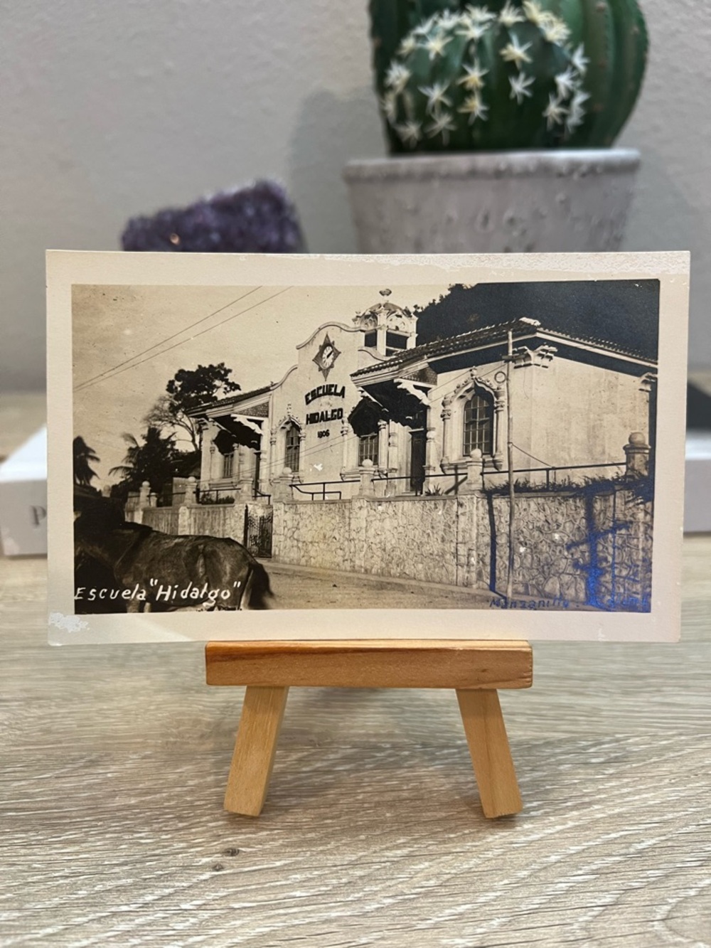 Antique RPPC Escuela Hidalgo Manzanillo Colima Mexico AZO Unused Postcard